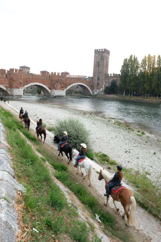 Fieracavalli_Veronafiere_FotoEnnevi_PHO_ (26)