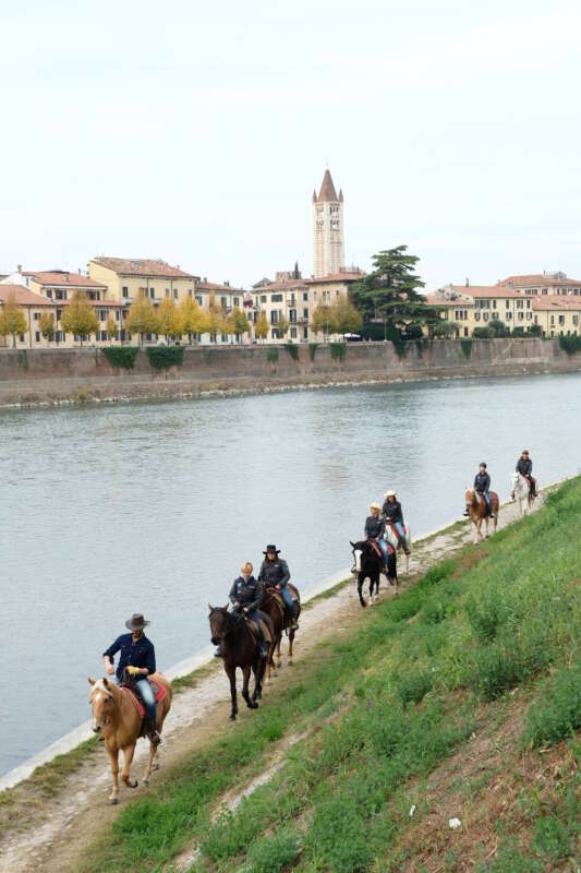 Fieracavalli_Veronafiere_FotoEnnevi_PHO_ (33)