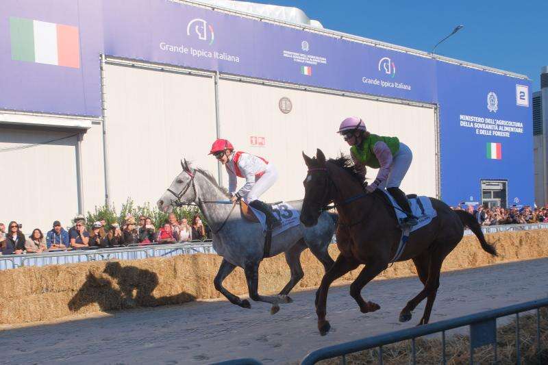 Fieracavalli2025_Veronafiere_EnneviFoto_5937
